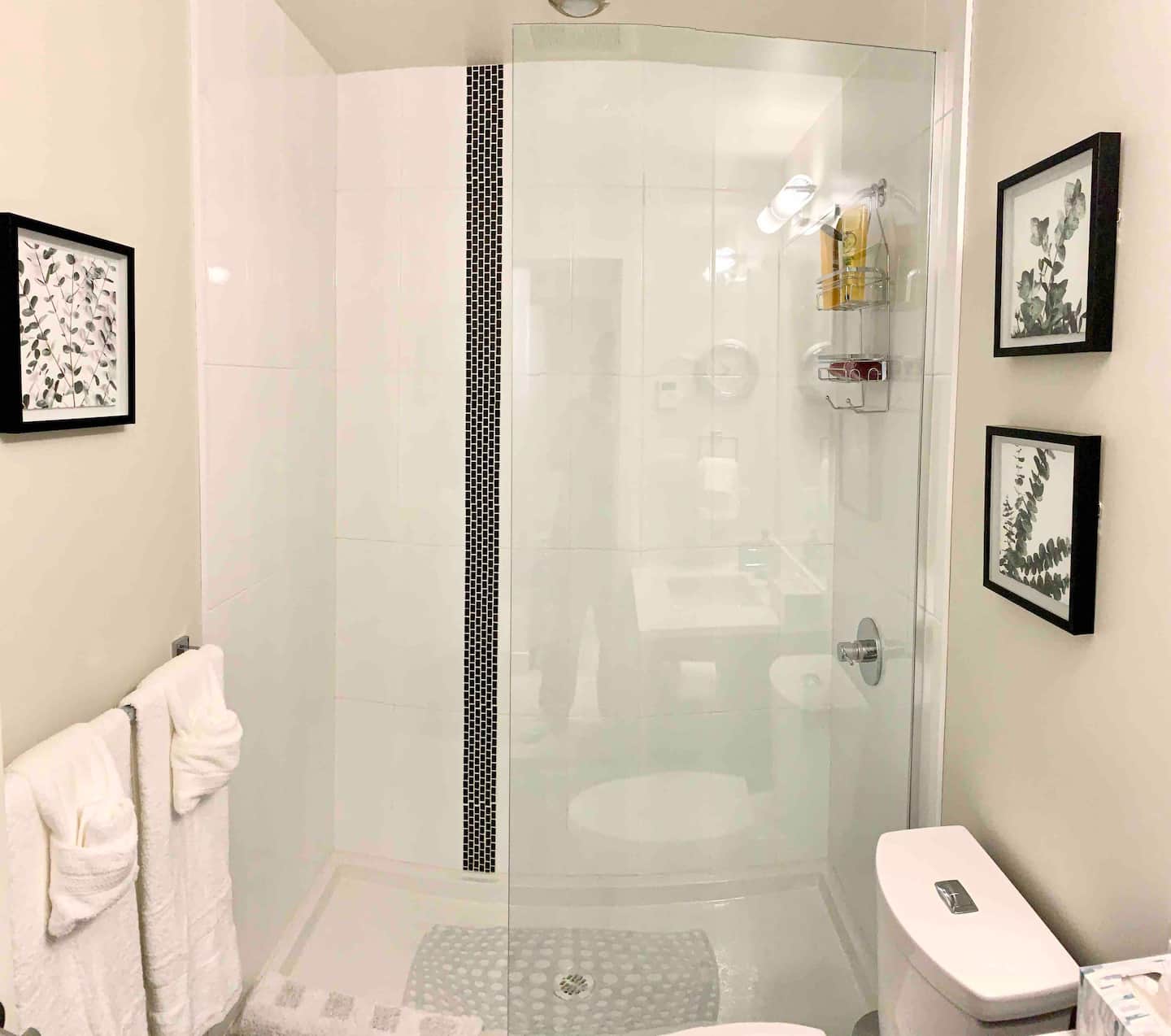 Vibrant Victoria: 1BR Condo in Downtown Hub — photo 10